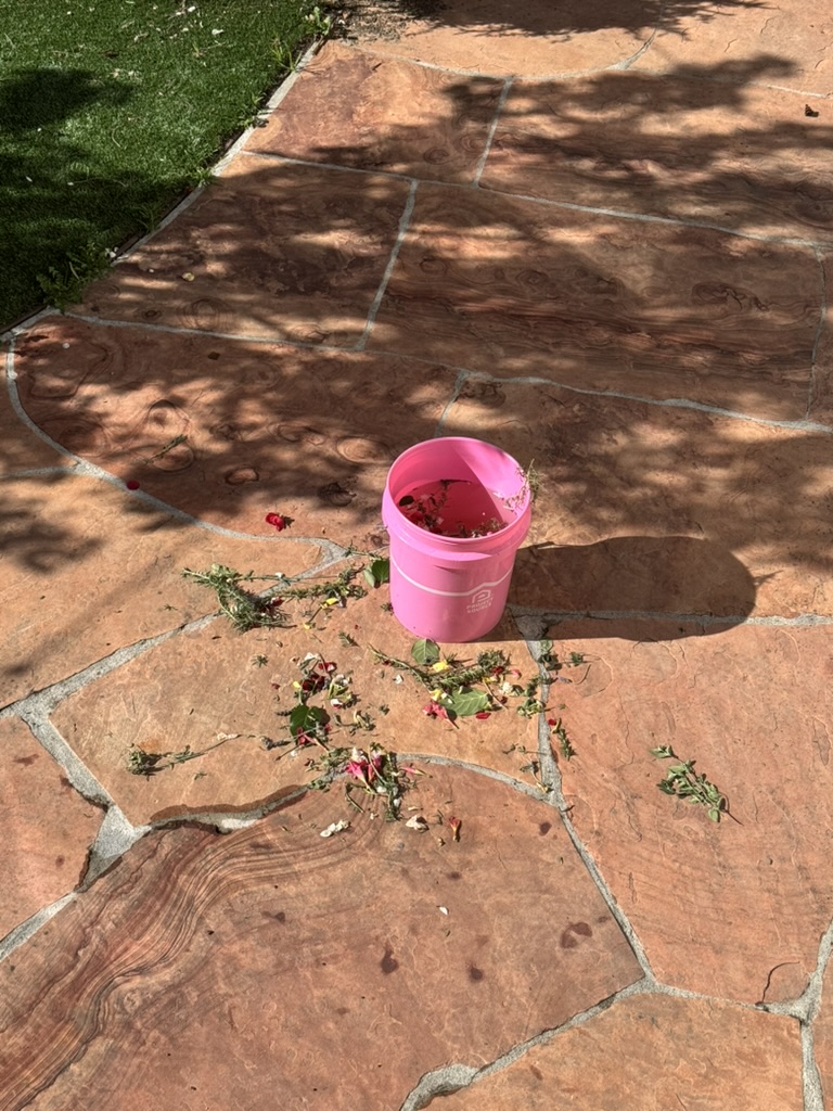 Sun-dappled flagstone patio after ceremony, a pink bucket of spent rose stems, scattered petals and herbs returning to the earth.
